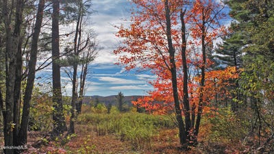 /international/us/1570-b-washington-mountain-road-washington-ma-110103129656/