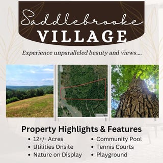/international/us/408-sunset-drive-saddlebrooke-mo-110108025076/