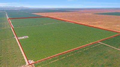 /international/us/0-avenue-7-madera-ca-110101266859/