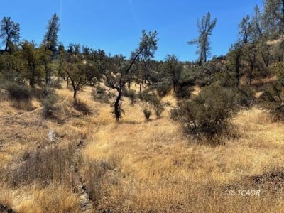 /international/us/lot-140-fiddlers-rd-ono-ca-110094578380/?lang=zh-tw