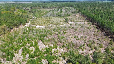 /international/us/wilbur-pridgen-road-harrells-nc-110106702547/