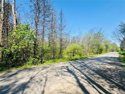 /international/us/dog-hollow-road-truxton-ny-110108202521/