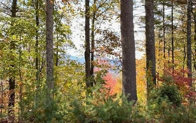 /international/us/lt-56-57-hemlock-heights-lot-56-57-suches-ga-110102995888/