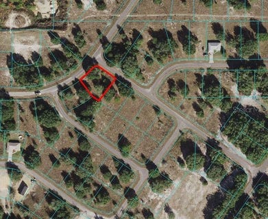 /international/us/guava-terrace-ocklawaha-fl-110070567045/