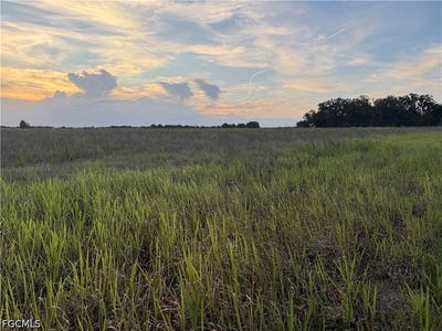 /international/us/rest-haven-rd-zolfo-springs-fl-110108500159/
