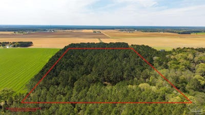 /international/us/corley-rd-walnut-hill-fl-110107168898/