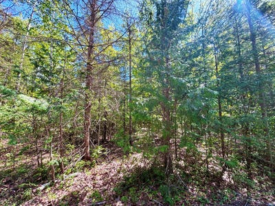 /international/us/belfair-drive-lot-52-presque-isle-mi-110104158256/