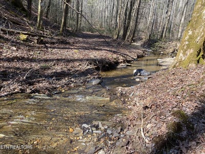 /international/us/57-09-acs-rafter-rd-tellico-plains-tn-110090389523/