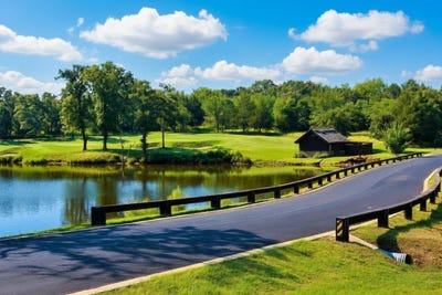 /international/us/96-pine-hills-lane-gordonville-tx-110109058177/