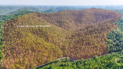 /international/us/hawn-branch-road-hinkle-ky-110107546504/