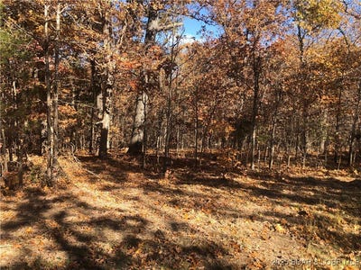 /international/us/long-hollow-rd-versailles-mo-110103414293/