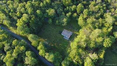 /international/us/52-log-road-parksville-ny-110108743011/