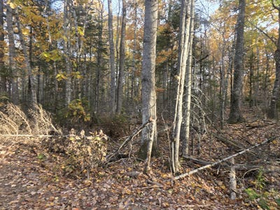 /international/us/w-cider-mill-lane-lot-2-swanville-me-110120721664/