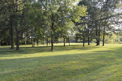 /international/us/1952-county-road-960-n-fairfield-il-110100569536/?lang=zh-tw