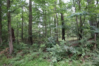 /international/us/181-mountain-road-east-amwell-nj-110100531502/?lang=en