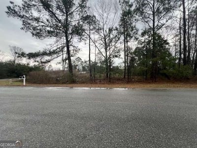 /international/us/n-washington-street-lyons-ga-110108073719/