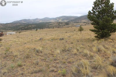 /international/us/harmony-circle-lot-146-westcliffe-co-110119966572/