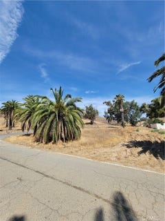 /international/us/shrier-lake-elsinore-ca-110119989647/