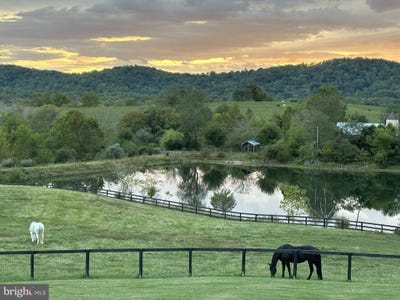 /international/us/23-white-horse-hill-lane-amissville-va-110108032652/