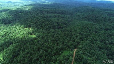 /international/us/000-bidwell-creek-rd-womack-mo-110100975794/
