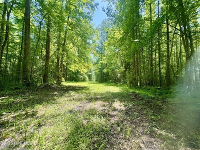 /international/us/0-nc-304-highway-bayboro-nc-110099087179/