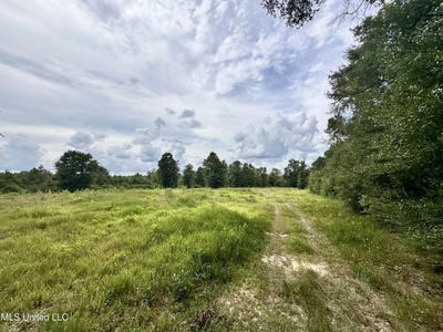 /international/us/40-acres-luther-davis-road-lucedale-ms-110101488525/