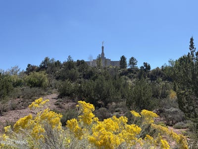 /international/us/24-s-temple-circle-snowflake-az-110120517846/
