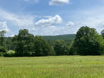 /international/us/8627-wildflower-lane-waldron-ar-110100891970/