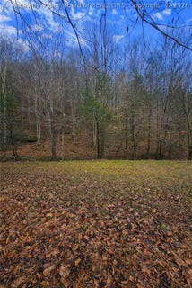 /international/us/709-cicerone-road-gandeeville-wv-110106146772/
