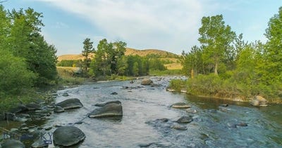 /international/us/1643-main-boulder-road-mcleod-mt-110082740039/