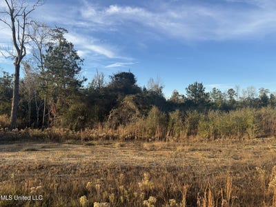 /international/us/15-acres-parker-road-mchenry-ms-110105213169/