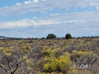 /international/us/stagecoach-lane-christmas-valley-or-110109927719/