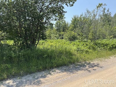/international/us/tbd-10-acres-webb-grand-marais-mi-110100965758/?lang=zh-cn