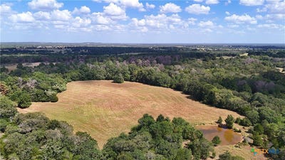 /international/us/-tracts-8-13-st-delight-paige-tx-110120419464/