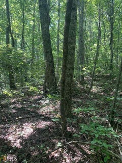 /international/us/0-n-woods-pt-3-sky-valley-ga-110085980020/