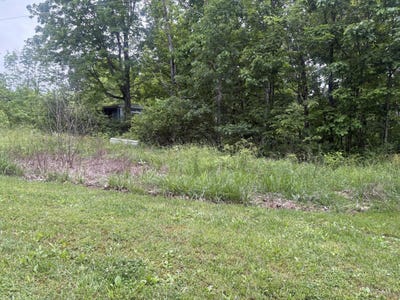 /international/us/1369-parker-ridge-road-bratton-twp-oh-110108364170/