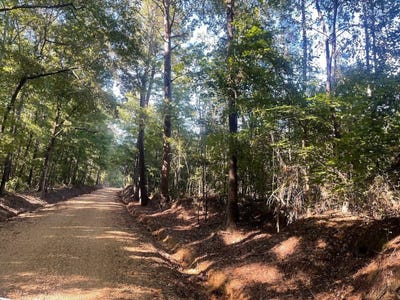 /international/us/north-county-line-rd-maben-ms-110104135570/