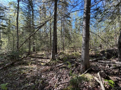 /international/us/m8-l17a-bald-mt-road-rangeley-plt-me-110108295687/