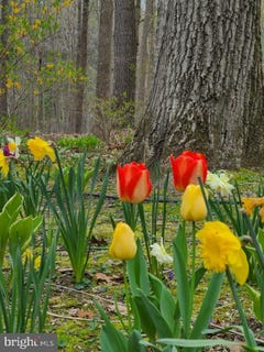 /international/us/1738-shanwick-road-forest-hill-md-110100157996/