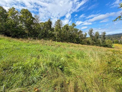 /international/us/boyd-ridge-rd-bellaire-oh-110120001139/