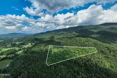 /international/us/tbd-east-of-crackers-neck-road-mountain-city-tn-110101179600/?lang=zh-tw