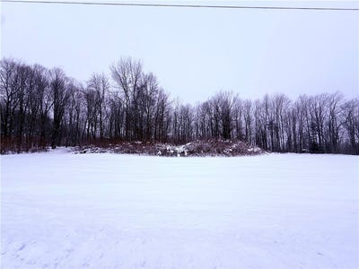 /international/us/pennycook-road-hunt-ny-110105036590/
