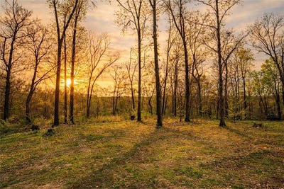 /international/us/21722-sibley-road-sulphur-springs-ar-110106029823/
