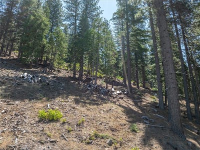 /international/us/7343-yosemite-park-way-yosemite-ca-110092962143/