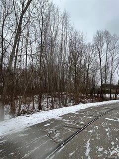 /international/us/brandi-lane-handy-twp-mi-110104265015/