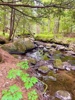/international/us/po-m20-l25-4-mile-square-road-anson-me-110108196084/