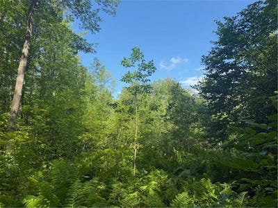 /international/us/18xxx-160th-street-finlayson-mn-110101169331/
