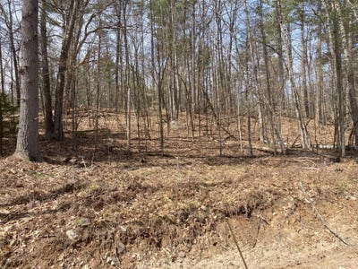 /international/us/lot-138-ridge-top-road-jay-ny-110098130645/