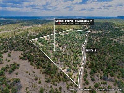 /international/us/lot-4-misty-lane-ramah-nm-110120537611/