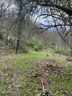 /international/us/tbd-crabtree-hollow-clintwood-va-110100551996/